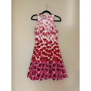 Maggy London Carnation Dress Ombré